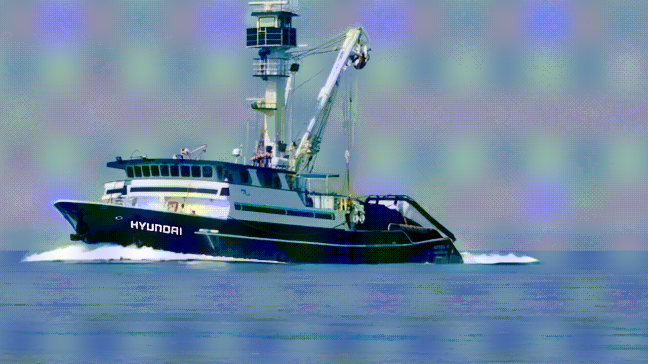 Barco en Movimiento